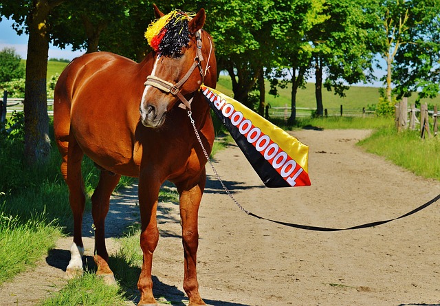 客战阿森纳时拜仁仅创造0.65个预期进球，为本赛季最低